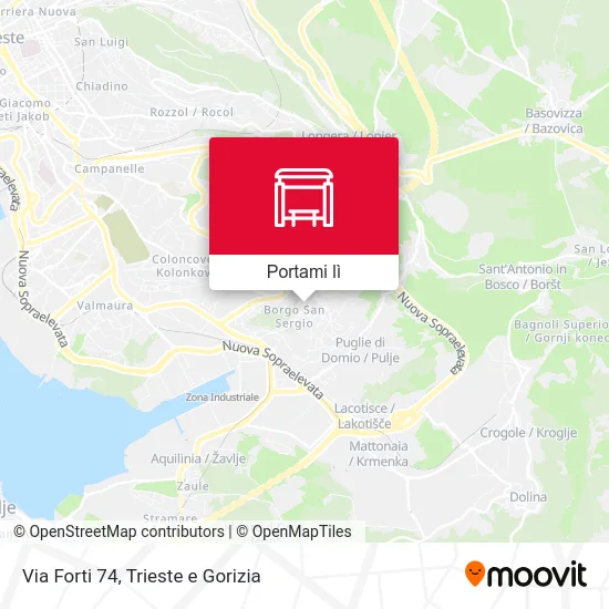 Mappa Via Forti 74