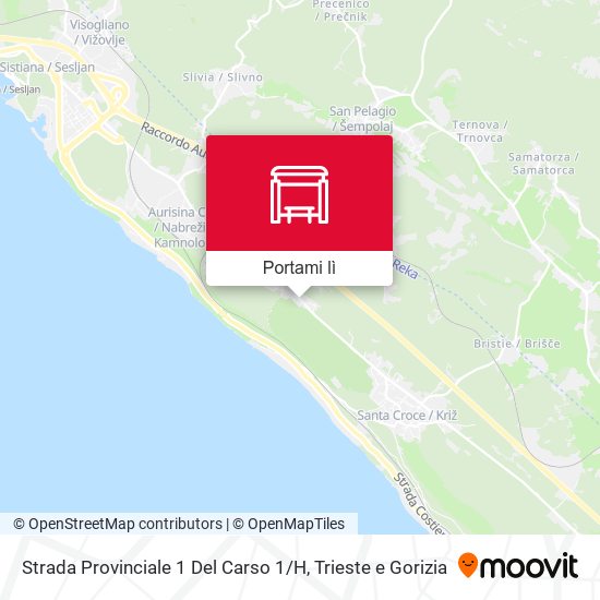 Mappa Strada Provinciale 1 Del Carso 1 / H