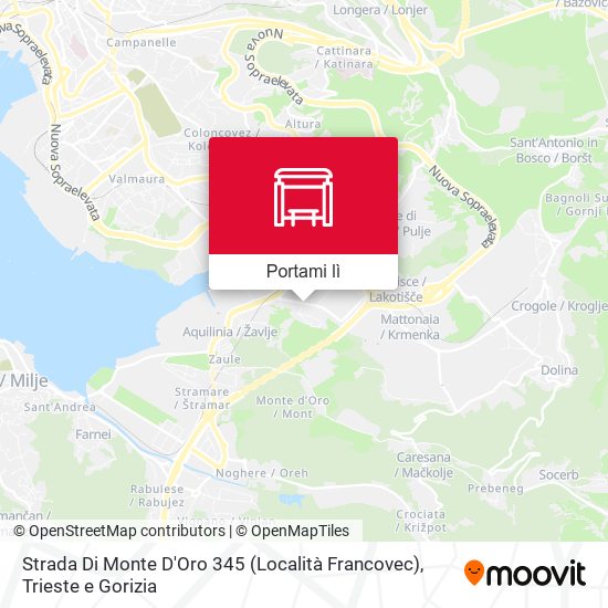 Mappa Strada Di Monte D'Oro 345 (Località Francovec)