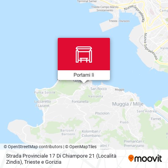 Mappa Strada Provinciale 17 Di Chiampore 21 (Località Zindis)