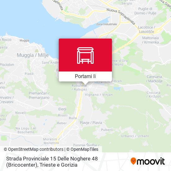 Mappa Strada Provinciale 15 Delle Noghere 48 (Bricocenter)