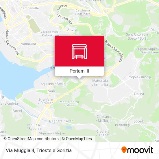 Mappa Via Muggia 4