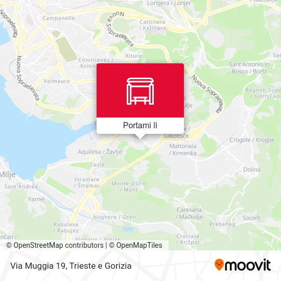 Mappa Via Muggia 19