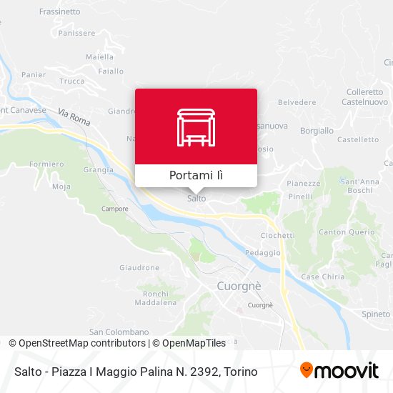 Mappa Salto - Piazza I Maggio Palina N. 2392