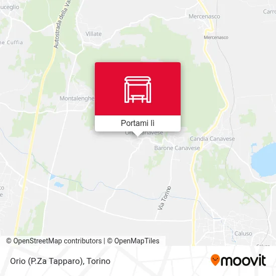 Mappa Orio (P.Za Tapparo)