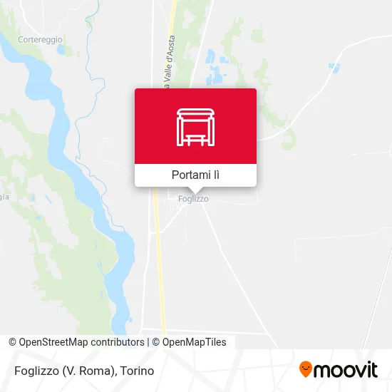 Mappa Foglizzo (V. Roma)