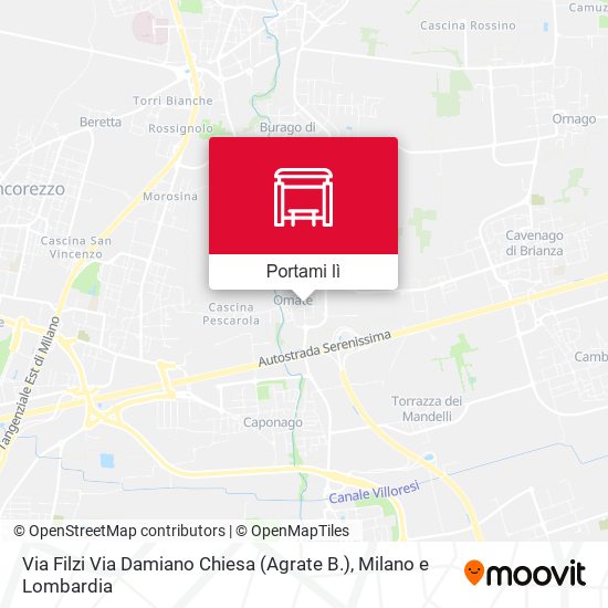 Mappa Via Filzi Via Damiano Chiesa (Agrate B.)