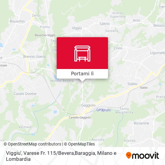 Mappa Viggiu', Varese Fr. 115 / Bevera,Baraggia