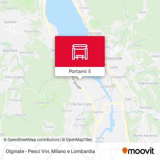 Mappa Olginate - Pesci Vivi