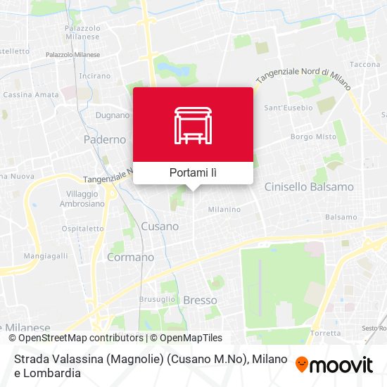 Mappa Strada Valassina (Magnolie) (Cusano M.No)
