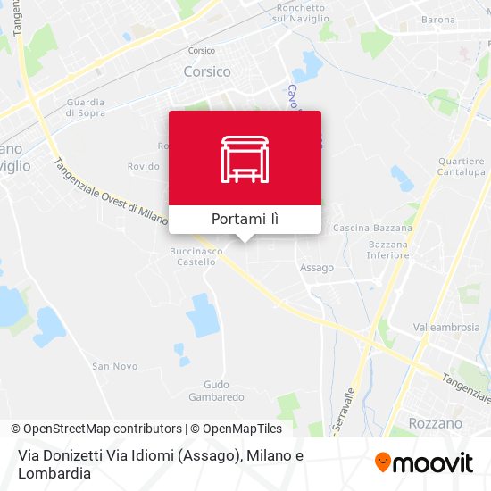 Mappa Via Donizetti Via Idiomi (Assago)