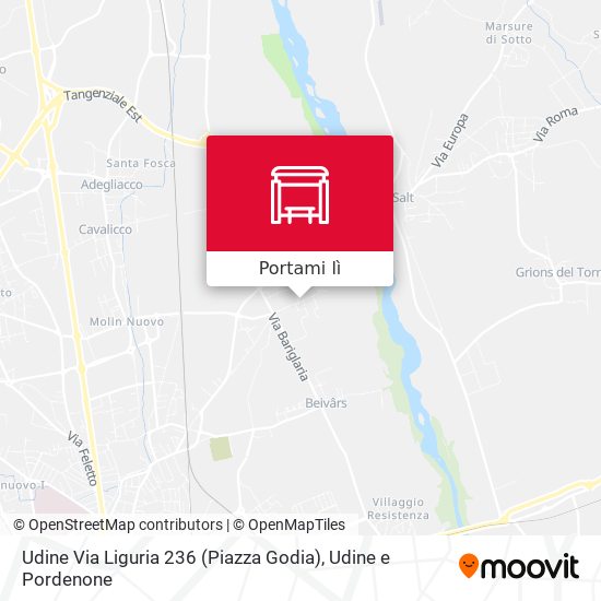 Mappa Udine Via Liguria 236 (Piazza Godia)