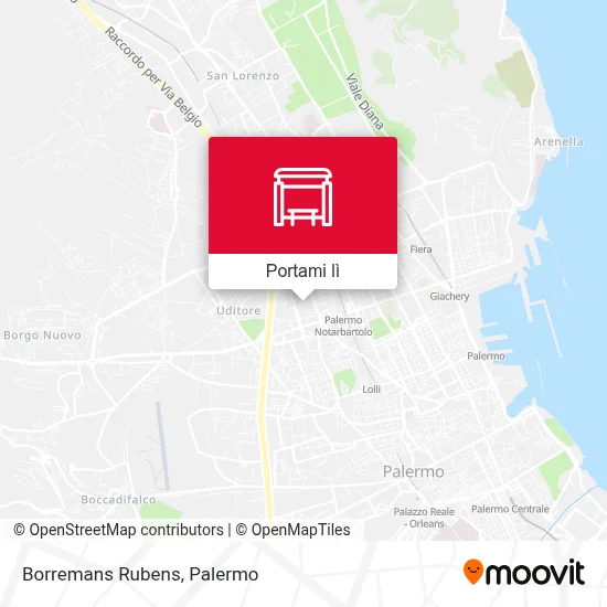 Mappa Borremans Rubens