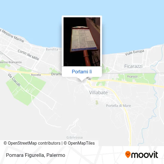 Mappa Pomara Figurella