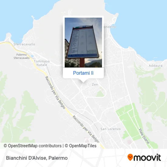 Mappa Bianchini D'Alvise