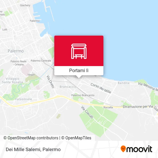 Mappa Dei Mille Salemi