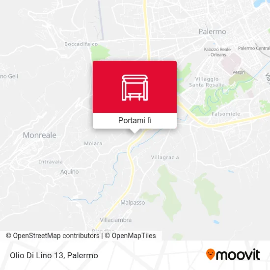 Mappa Olio Di Lino 13
