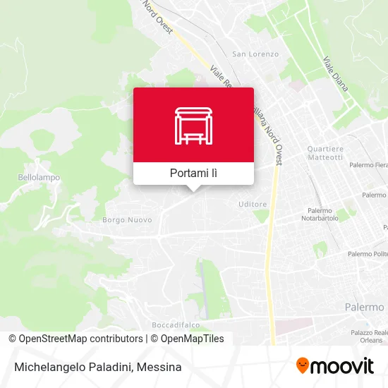 Mappa Michelangelo Paladini