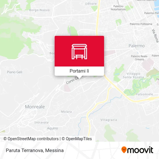 Mappa Paruta Terranova