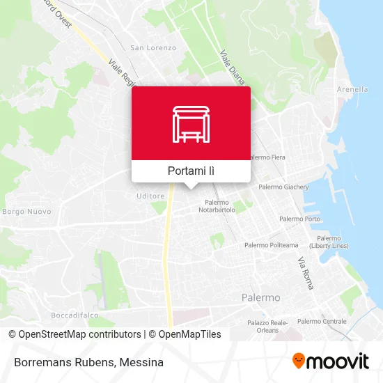 Mappa Borremans Rubens