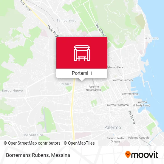 Mappa Borremans Rubens