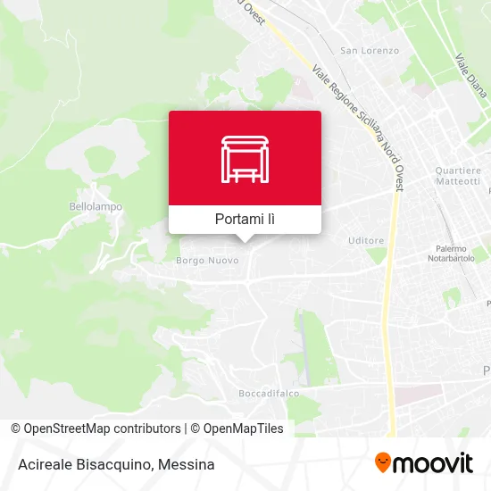 Mappa Acireale Bisacquino