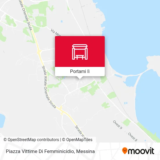 Mappa Piazza Vittime Di Femminicidio