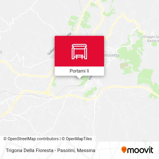 Mappa Trigona Della Floresta - Pasolini