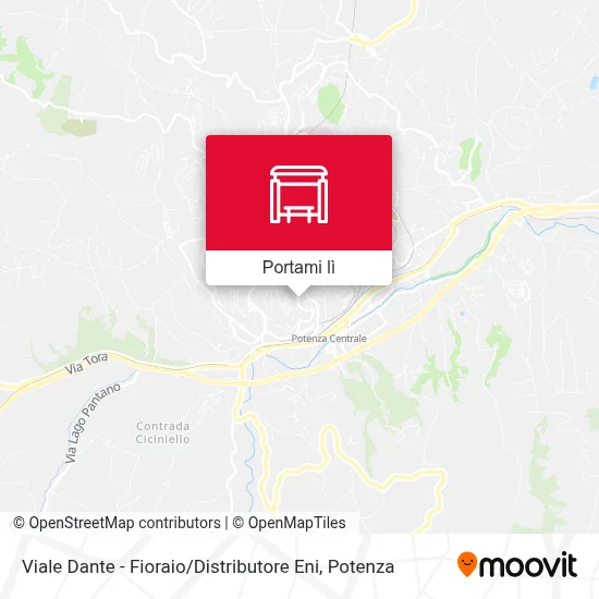 Mappa Viale Dante - Fioraio / Distributore Eni