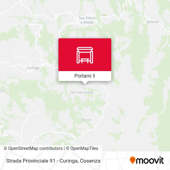 Mappa Strada Provinciale 91 - Curinga