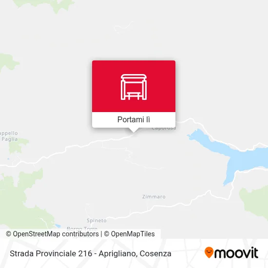 Mappa Strada Provinciale 216 - Aprigliano