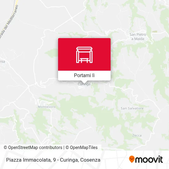 Mappa Piazza Immacolata, 9 - Curinga