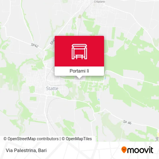 Mappa Via Palestrina