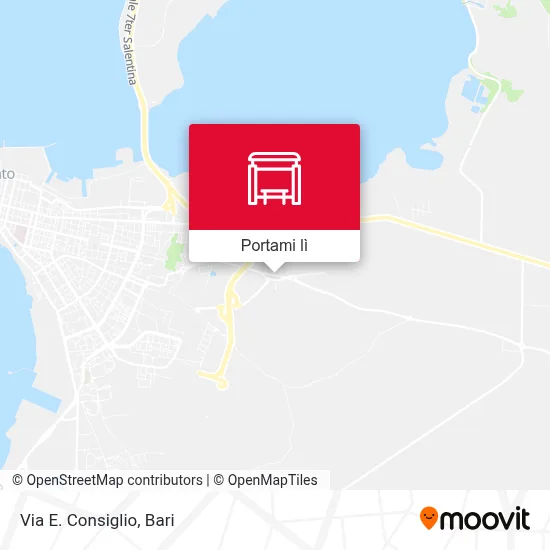 Mappa Via E. Consiglio