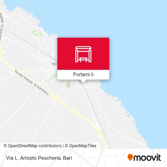 Mappa Via L. Ariosto Pescheria