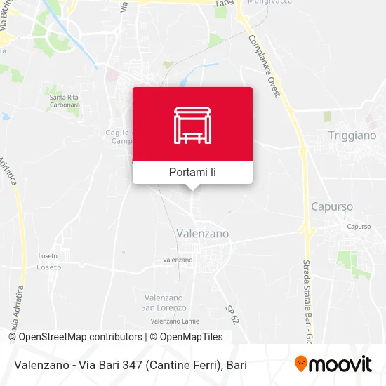 Mappa Valenzano - Via Bari 347 (Cantine Ferri)