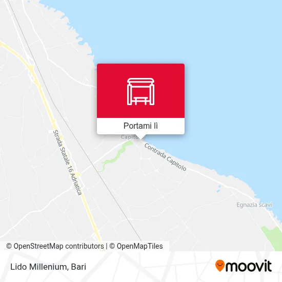 Mappa Lido Millenium