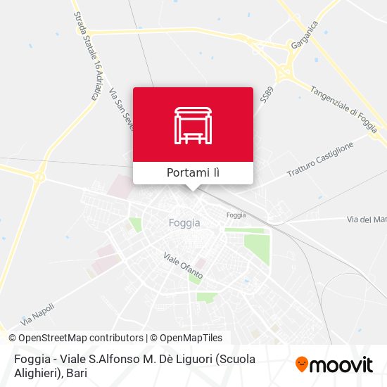 Mappa Foggia - Viale S.Alfonso M. Dè Liguori  (Scuola Alighieri)