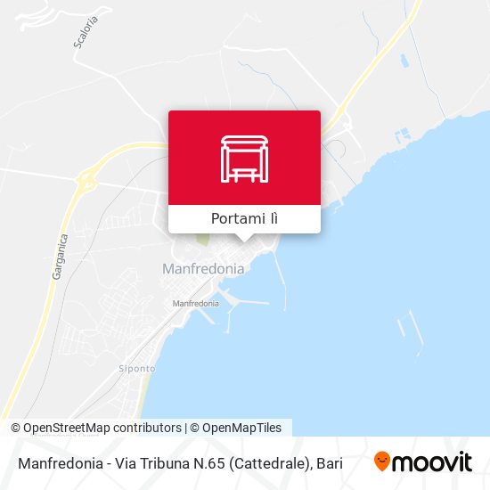 Mappa Manfredonia - Via Tribuna N.65 (Cattedrale)