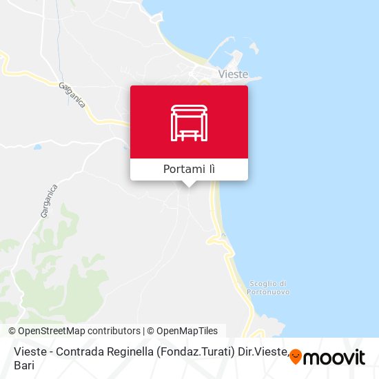 Mappa Vieste - Contrada Reginella  (Fondaz.Turati) Dir.Vieste