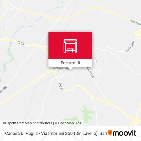 Mappa Canosa Di Puglia - Via Imbriani 250 (Dir. Lavello)