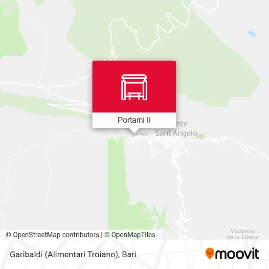 Mappa Garibaldi (Alimentari Troiano)