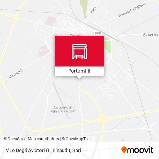 Mappa V.Le Degli Aviatori (L. Einaudi)