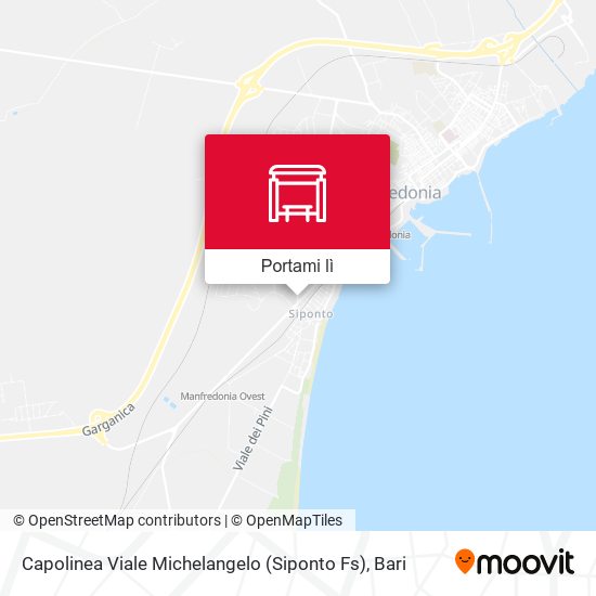 Mappa Capolinea Viale Michelangelo (Siponto Fs)