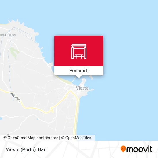 Mappa Vieste (Porto)