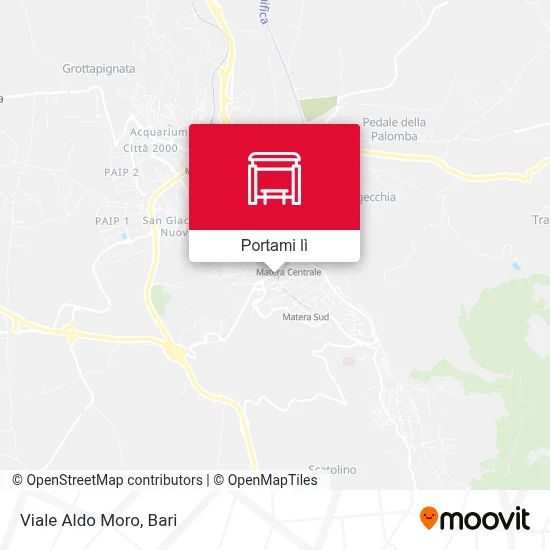 Mappa Viale Aldo Moro