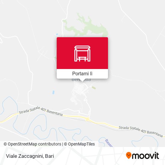 Mappa Viale Zaccagnini