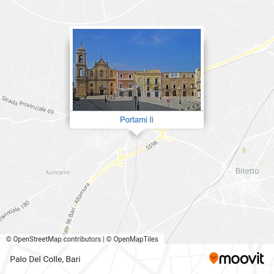 Mappa Palo Del Colle