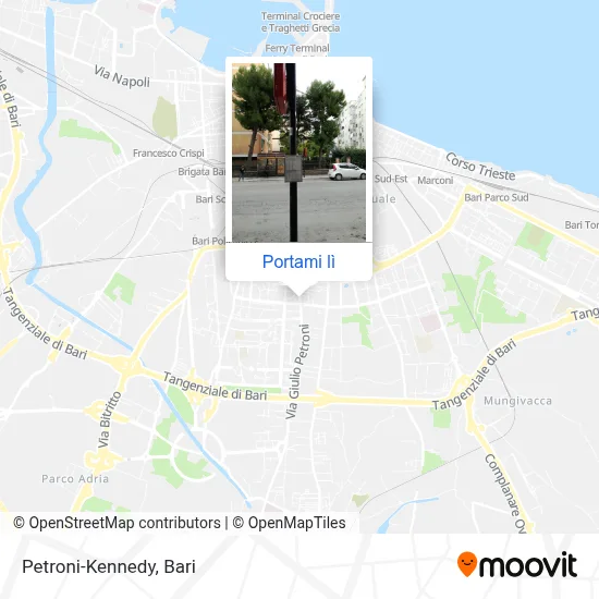 Mappa Petroni-Kennedy