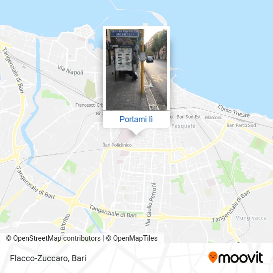 Mappa Flacco-Zuccaro